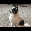 roxmaryj